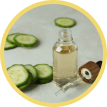 Cucumber Extract