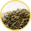 Green Tea Extract